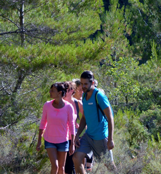 Activités au camping randonnées