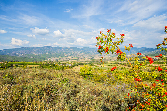 Paysages de Drôme provençale